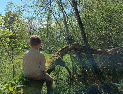 Club Nature mercredis 2025-2026